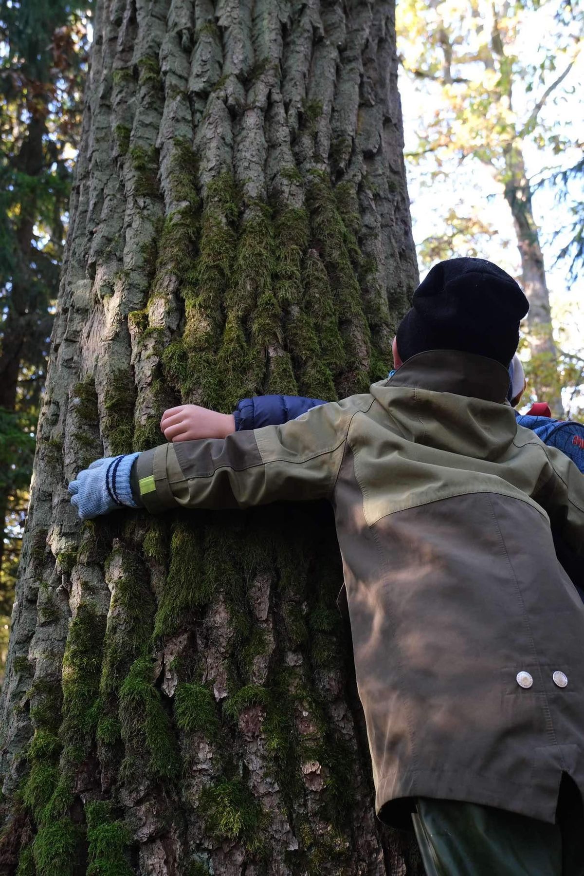 children forest bathing, nature exploration, sensory learning, outdoor education, plants and insects study