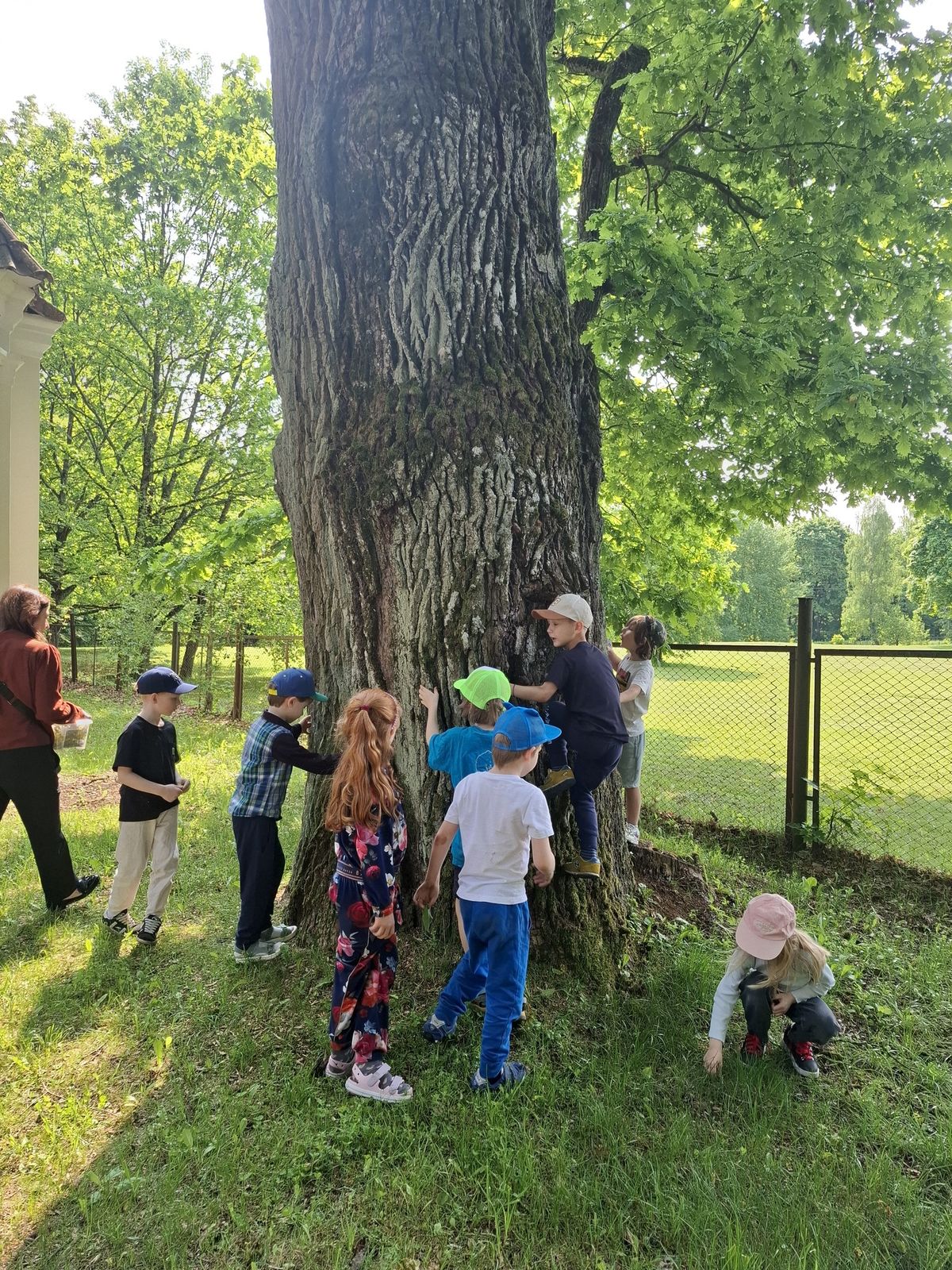 children exploring forest, drawing and creating art, natural lighting, reggio emilia style, 1920x600 aspect ratio, safety zones top and bottom, mint green and sun yellow accents, bokeh edges, focused faces and creative activities
